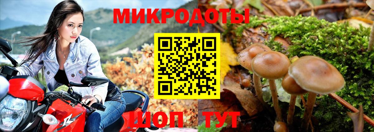 закладка  Псилоцибиновые грибы Magic Shrooms  Вход с VPN  Когалым 